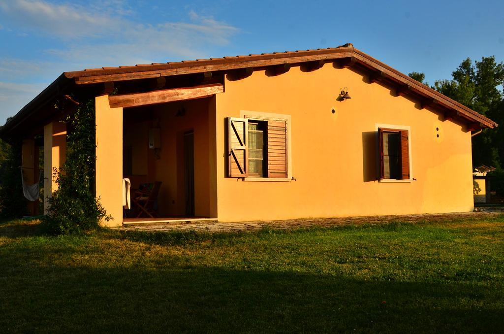 Agriturismo Terre Di Musignano Canino Zimmer foto