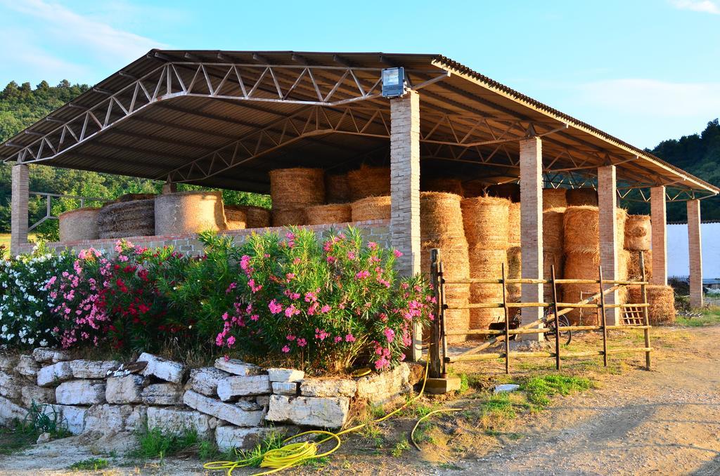 Agriturismo Terre Di Musignano Canino Zimmer foto
