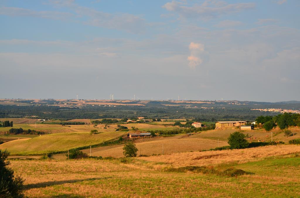 Agriturismo Terre Di Musignano Canino Exterior foto